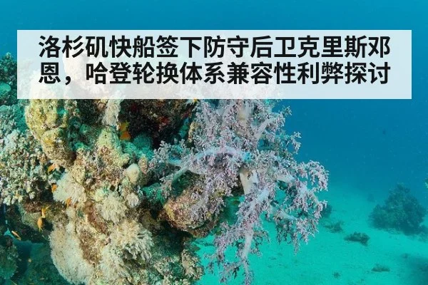 洛杉矶快船签下防守后卫克里斯邓恩，哈登轮换体系兼容性利弊探讨